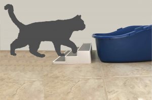 cat litter box with steps