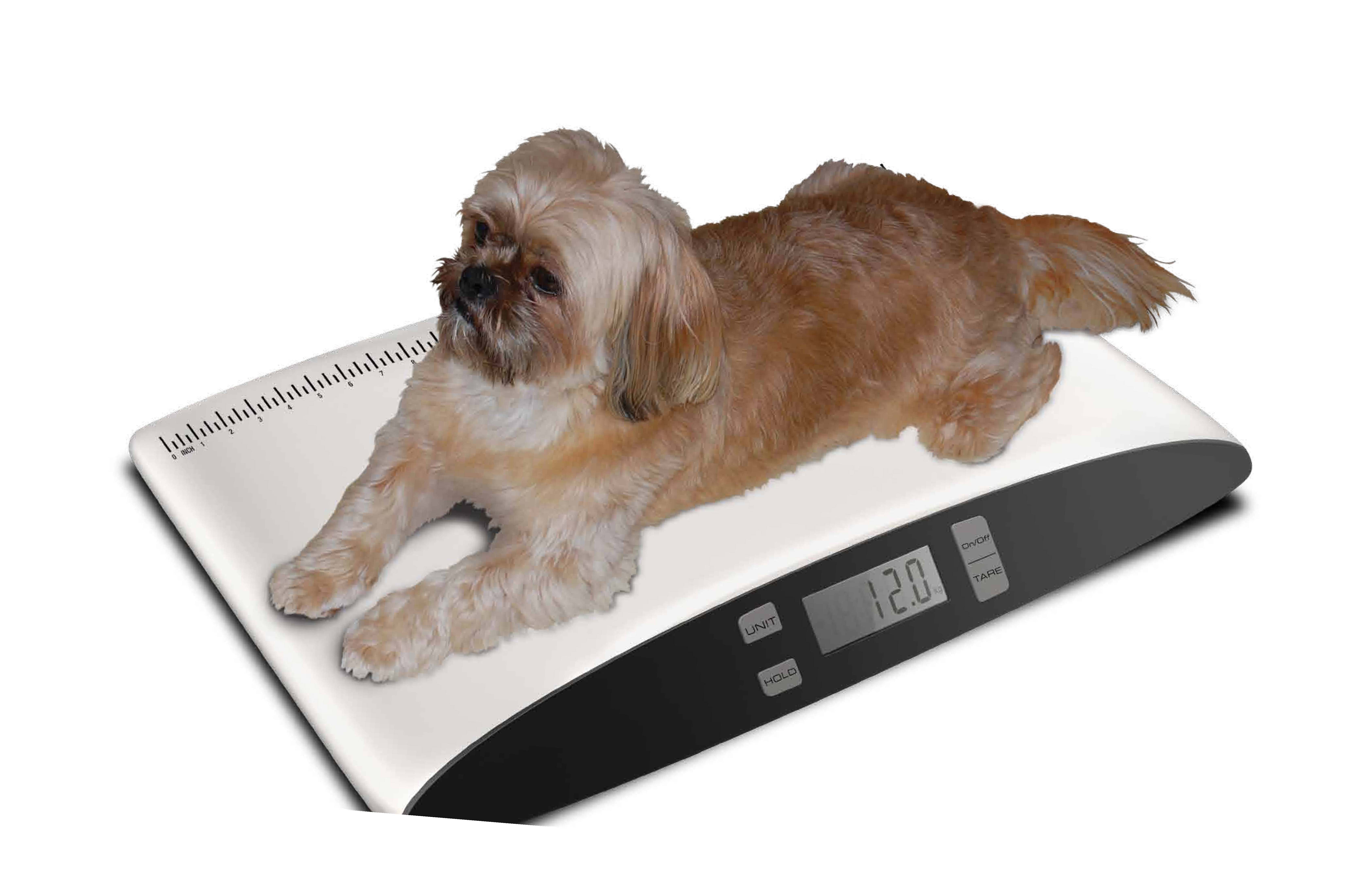 Large Digital Pet Scale Veterinary Animal Weight Pet Dog Cat