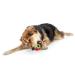 Planet Dog Orbee Tuff Strawberry Dog Treat Toy - In Play